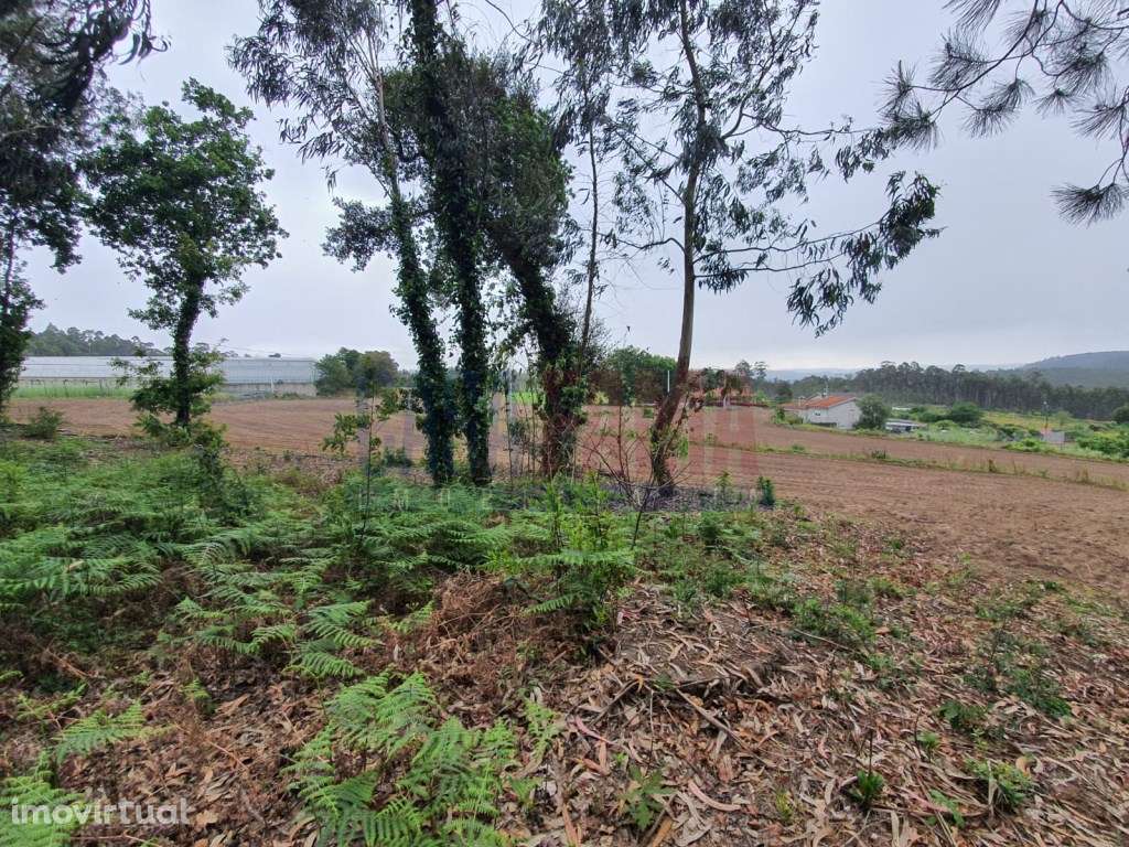 Terreno de construção em Carvalhos - Barcelos - Grande imagem: 4/6