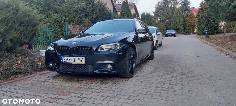 BMW Seria 5 530d xDrive - 29