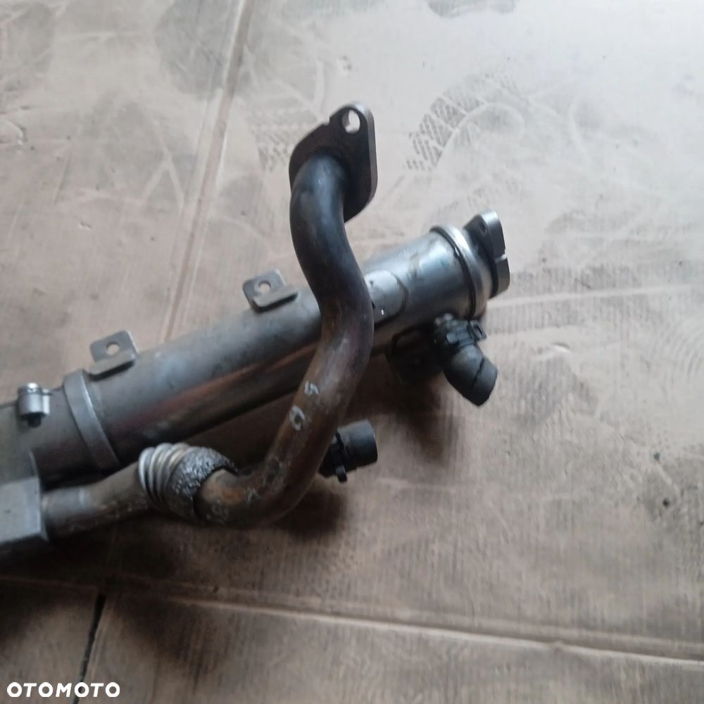 Chłodnicza EGR 03L131512AB - 3