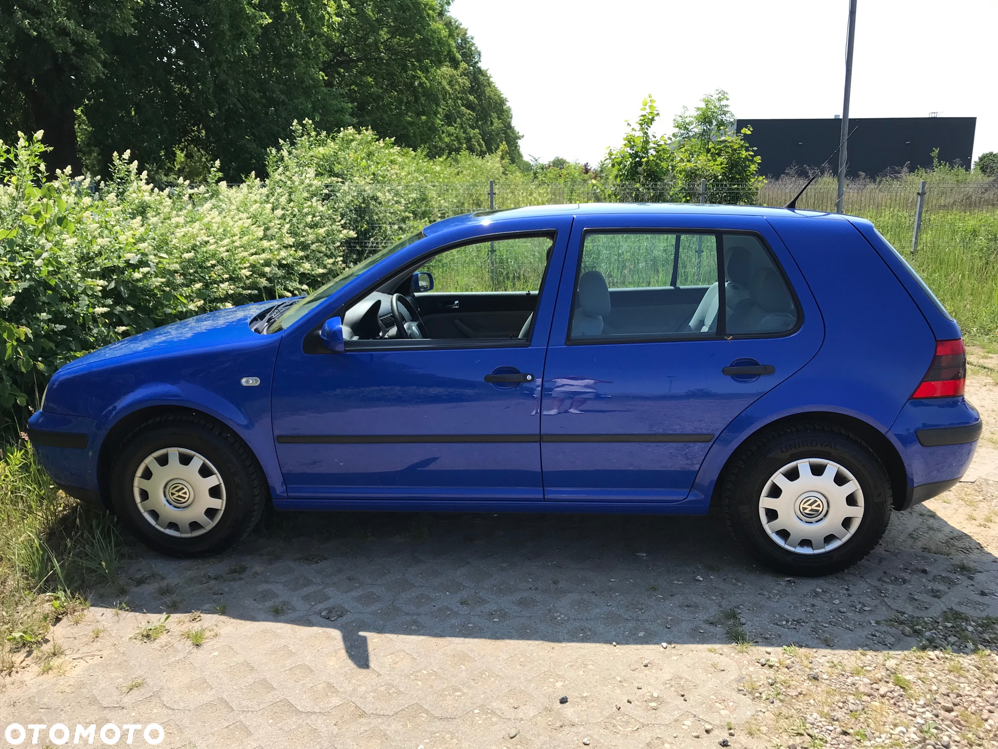 Volkswagen Golf - 8