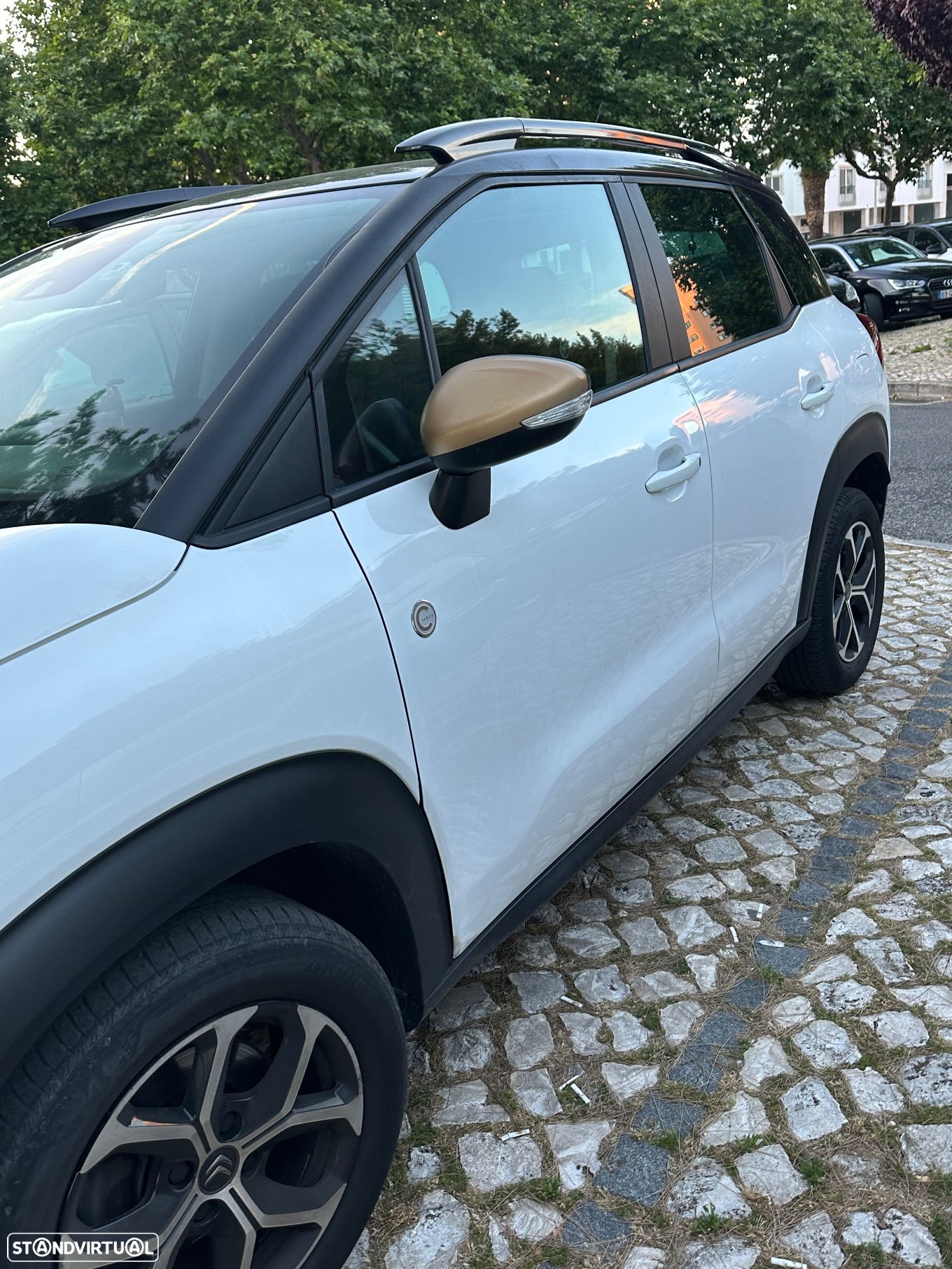Citroën C3 Aircross 1.2 PureTech C-Series - 3