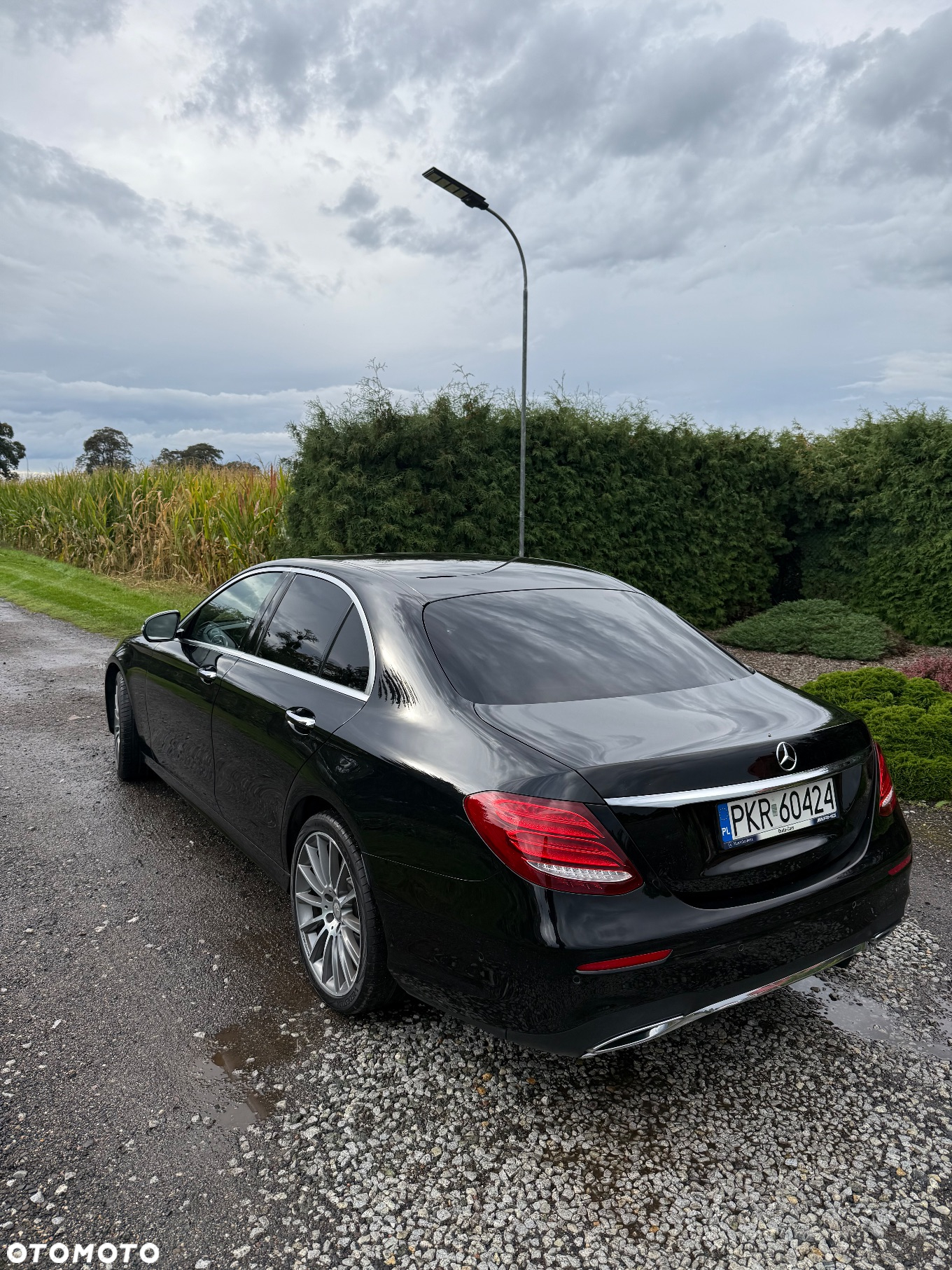 Mercedes-Benz Klasa E 220 d AMG - 6