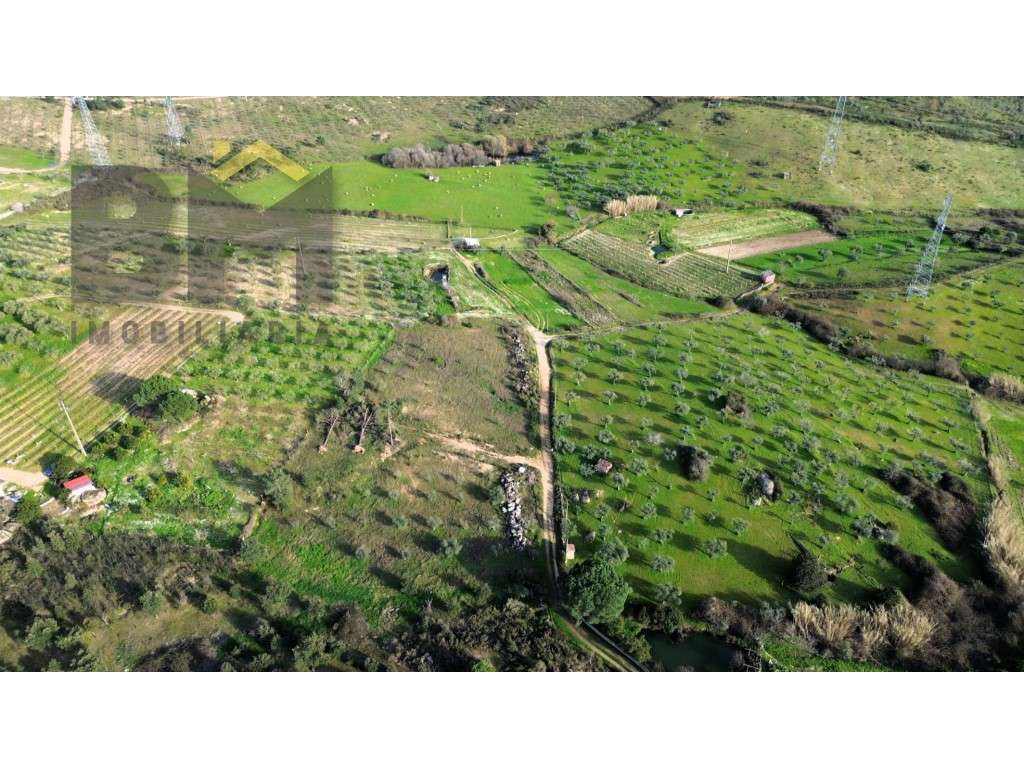 Terreno rústico com 5.750m² em Castelo Branco - Grande imagem: 5/20