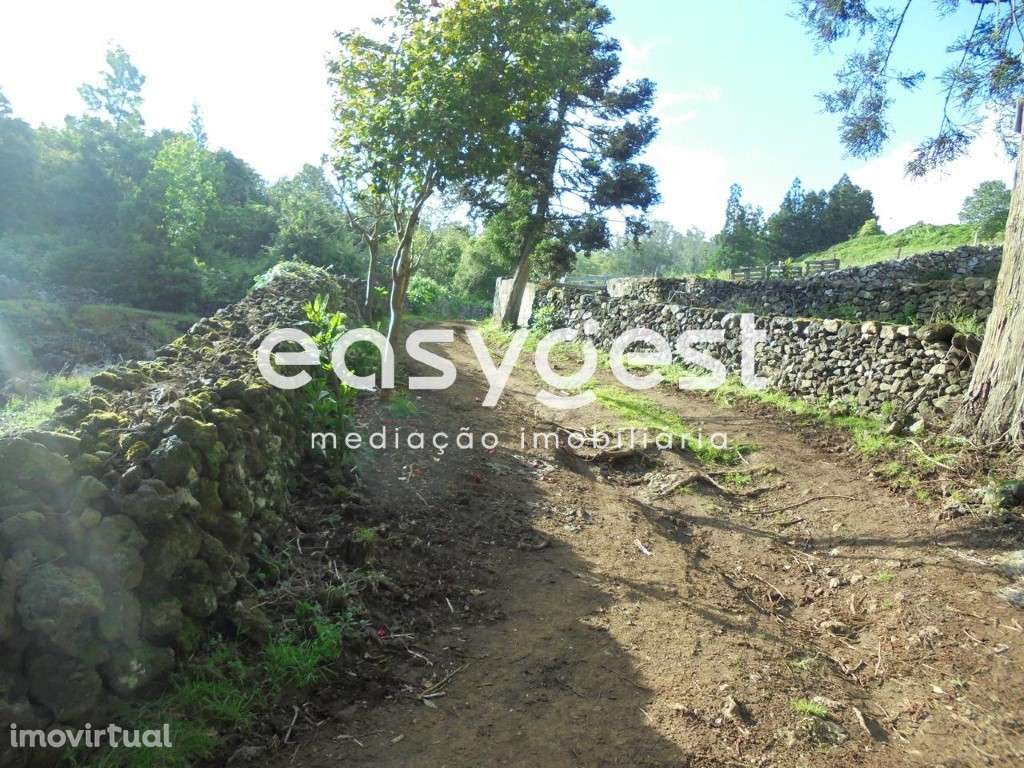 Terreno Rustico localizado em Terra-Chã Destinado a Lavoura ou Pecu... - Grande imagem: 2/7