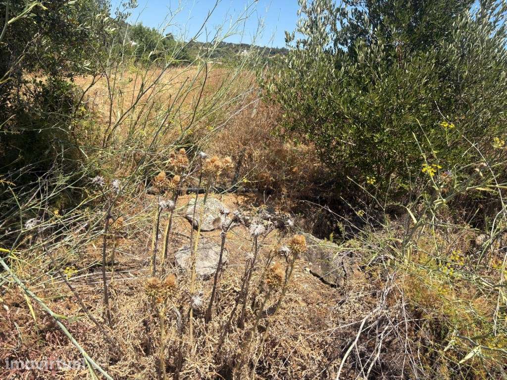Terreno Urbano de 4.500m² com excelente Localização em Loulé, Algarve - Grande imagem: 5/16