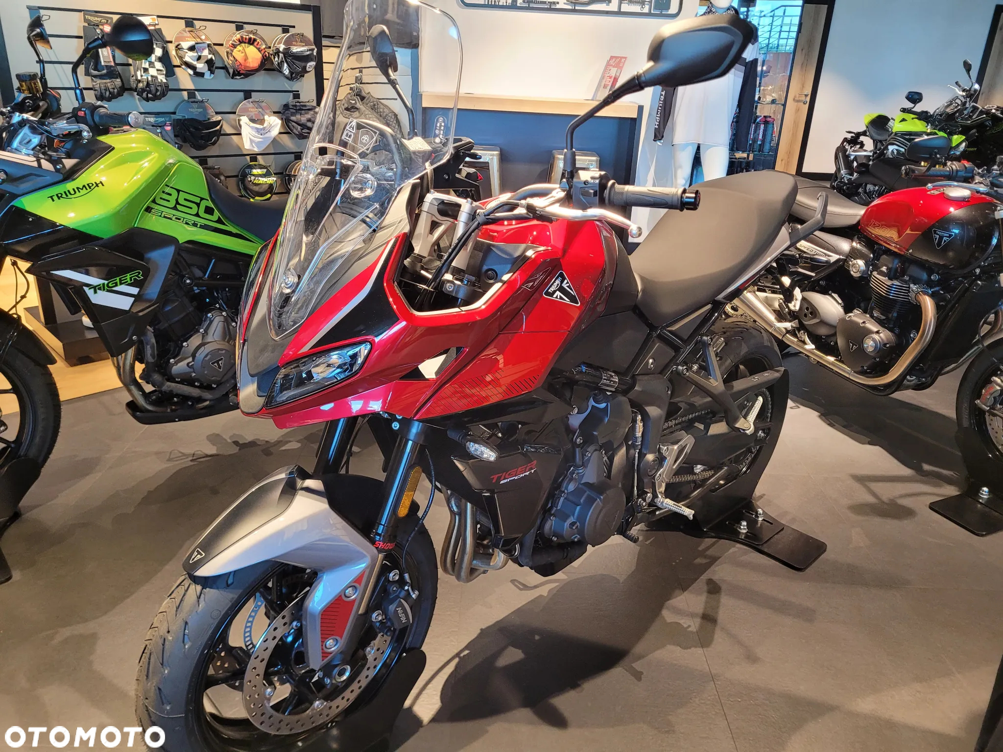 Triumph Tiger - 7