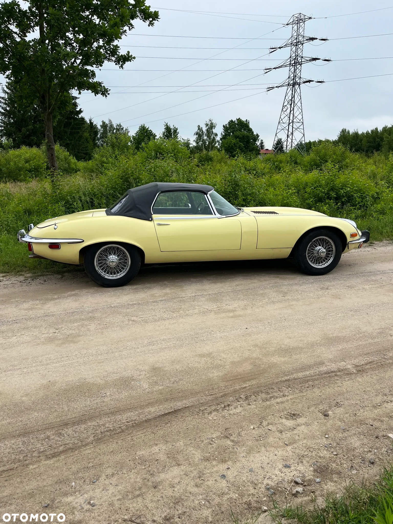 Jaguar E-Type - 37