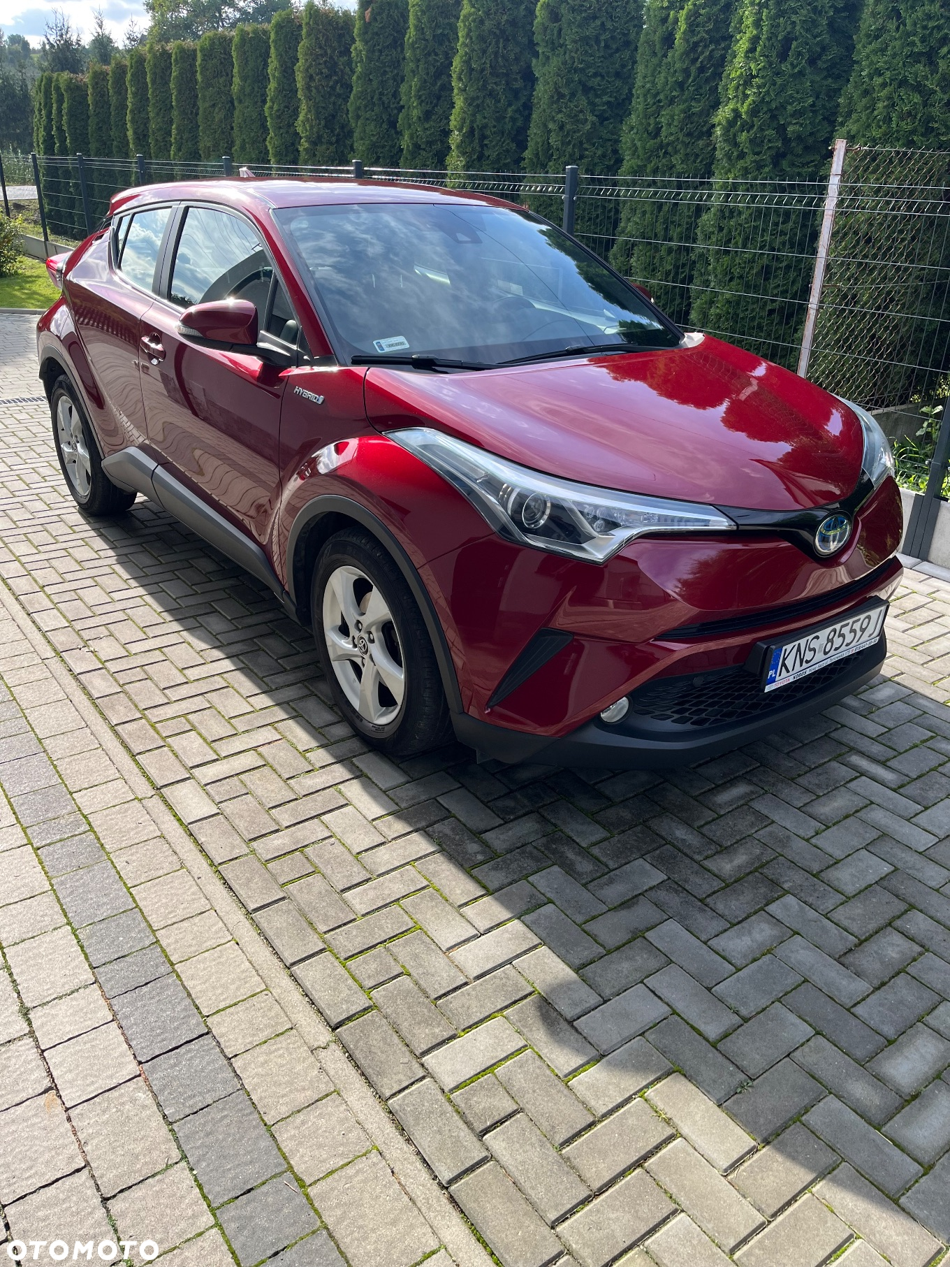 Toyota C-HR 1.8 Hybrid Dynamic - 11