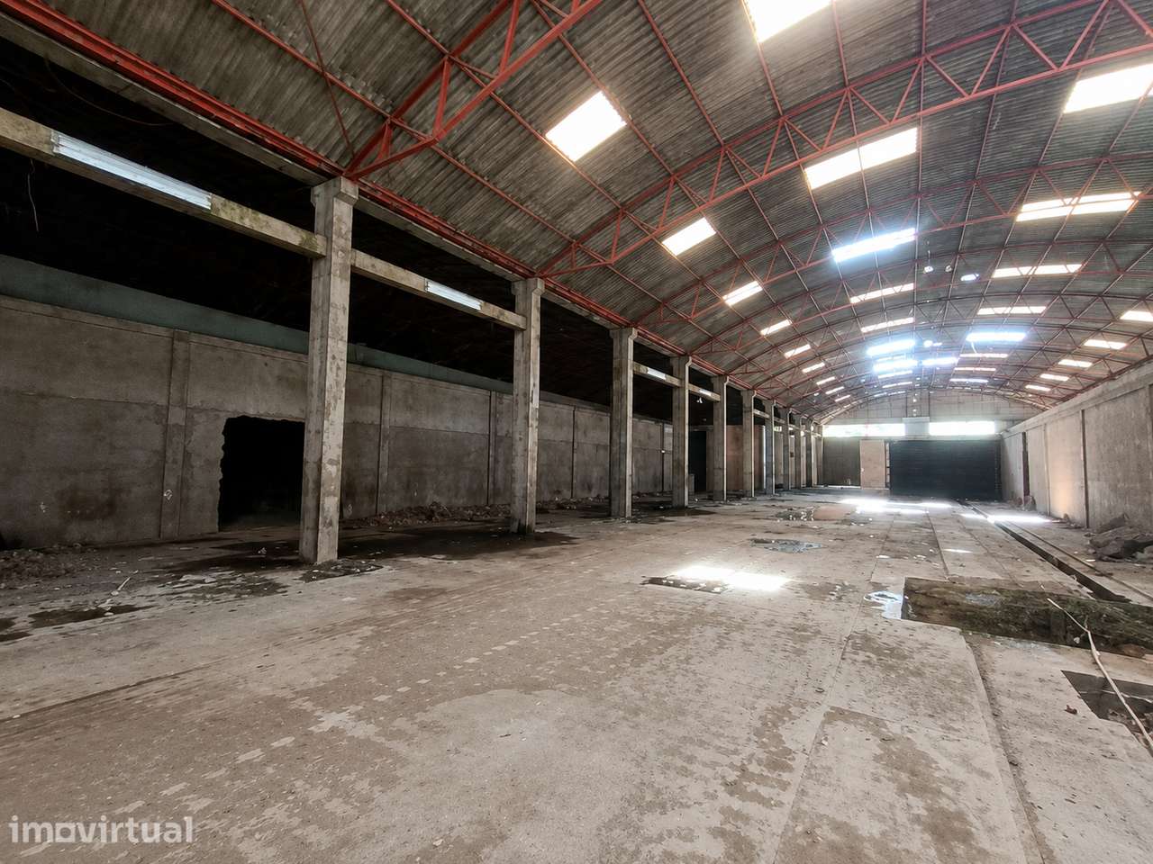 Grandes Armazéns Industriais com 11.765 m² em Coja, Arganil - Grande imagem: 4/19