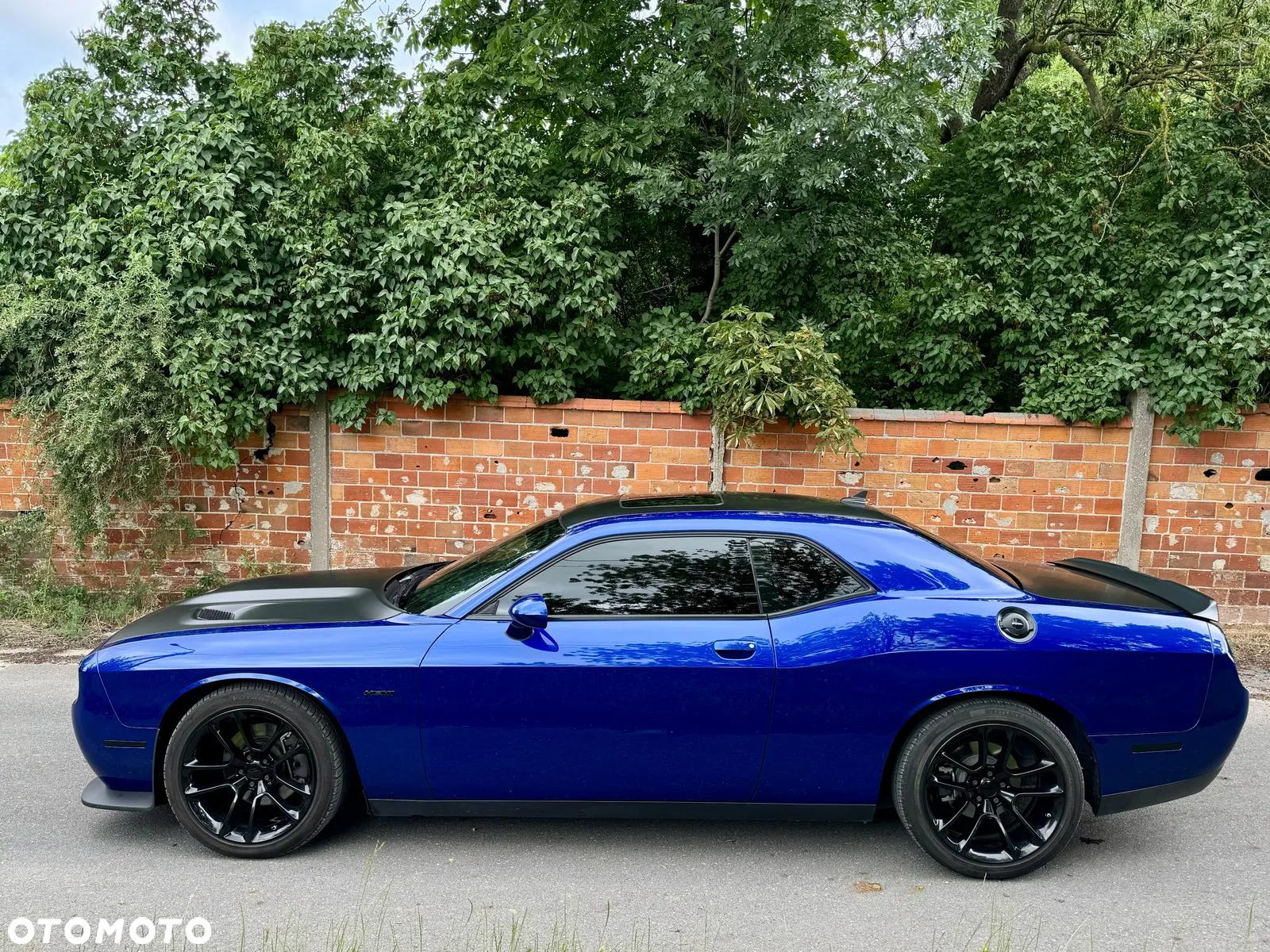 Dodge Challenger Automatik R/T Plus - 3