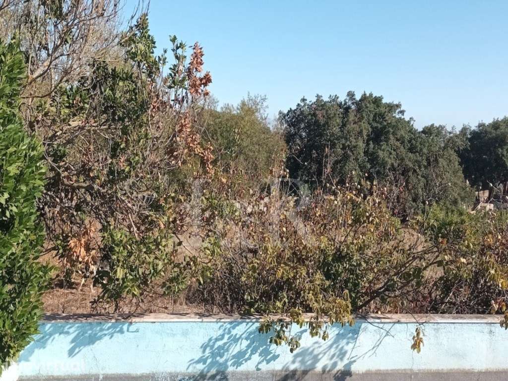 Monte Alentejano com terreno de 2,5 ha em Vila Viçosa, Évora - Grande imagem: 2/23