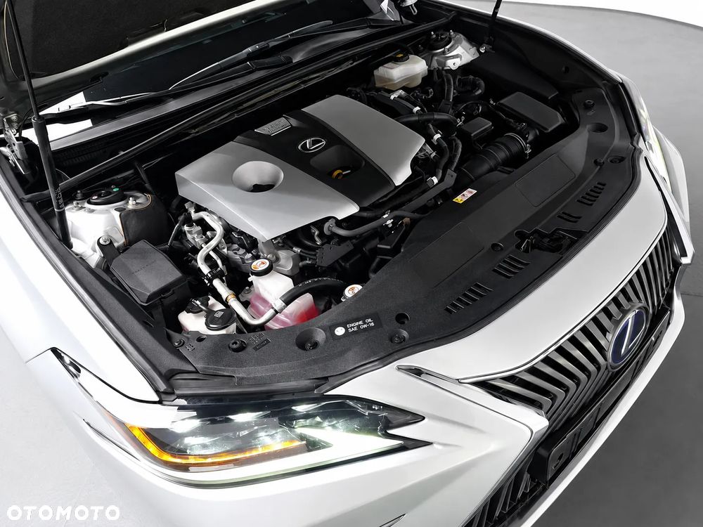 Lexus ES 300h Omotenashi - 10