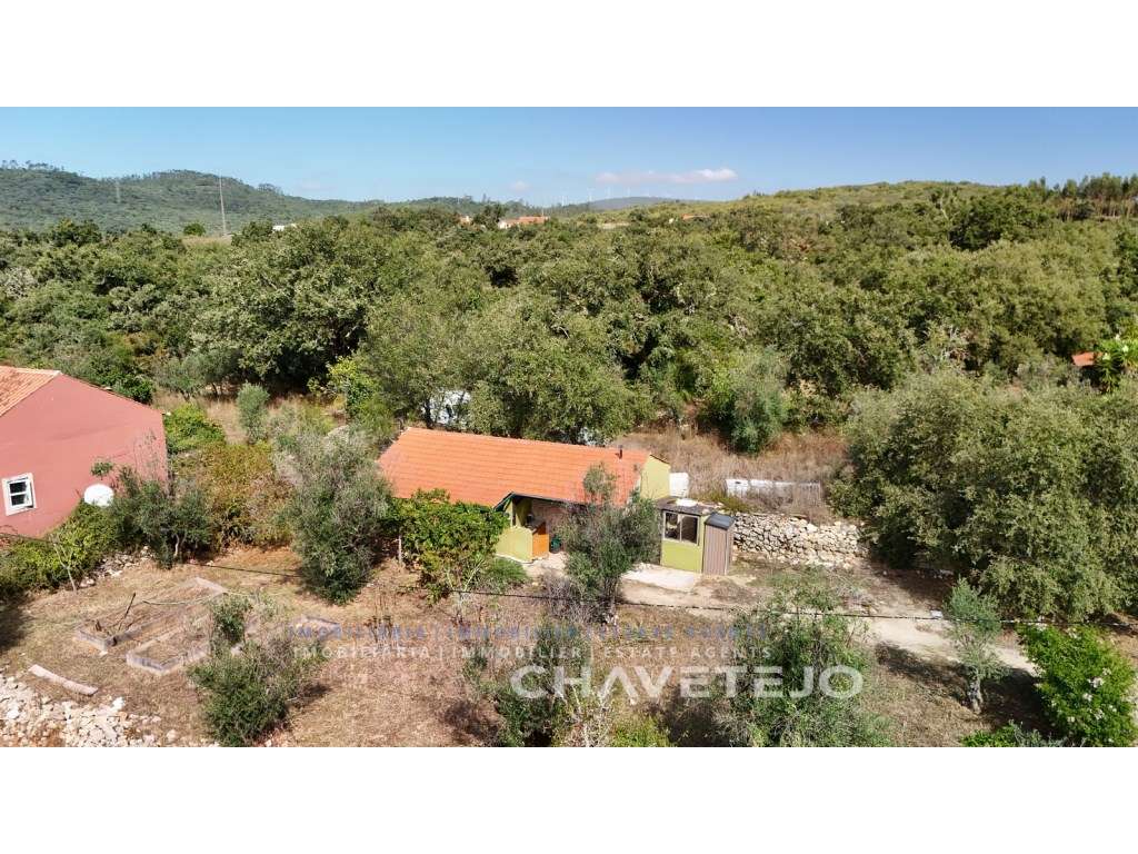 Casa de campo com terreno, habitação principal estúdio + 1 quarto i... - Grande imagem: 4/38