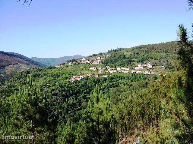 Terreno - Quinta Stª. Justa - Cultura e Pinhal - 6,98 ha - Valongo - Grande imagem: 2/12