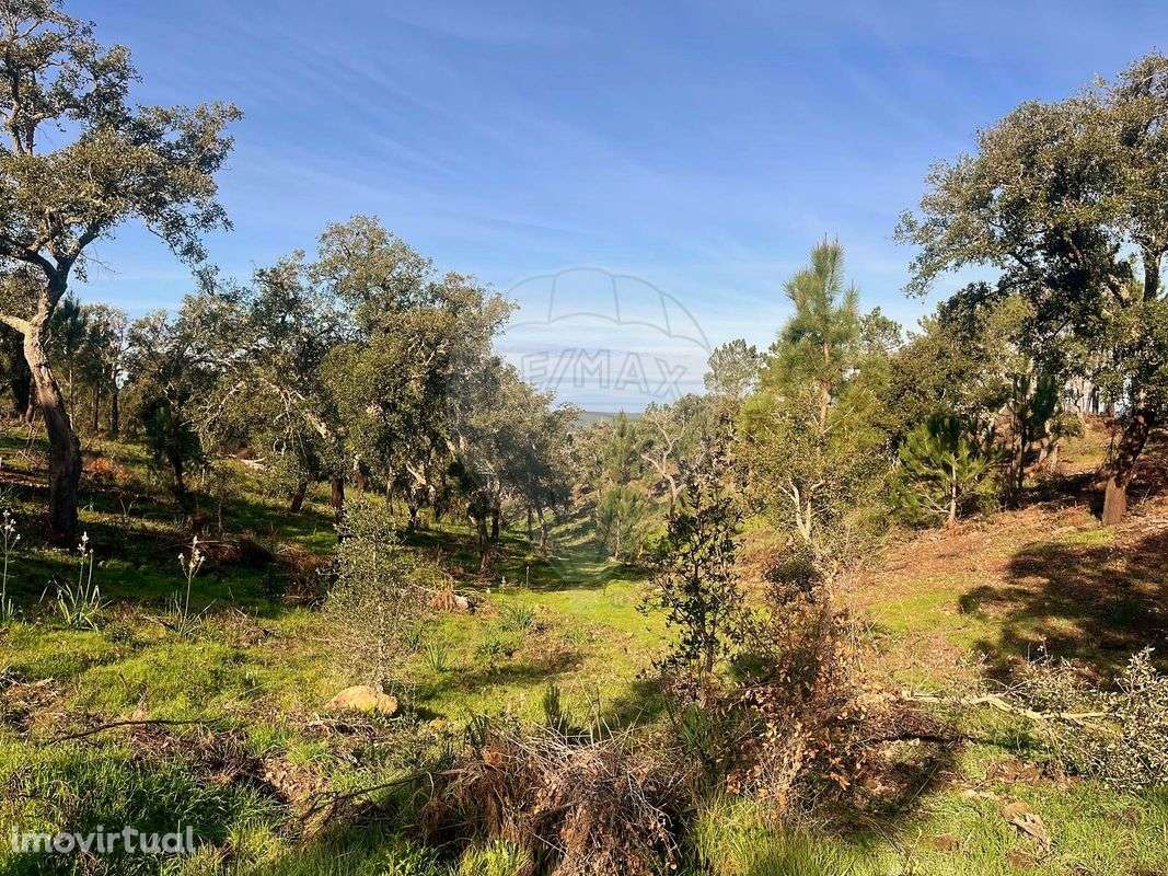 Terreno  para venda - Grande imagem: 3/8