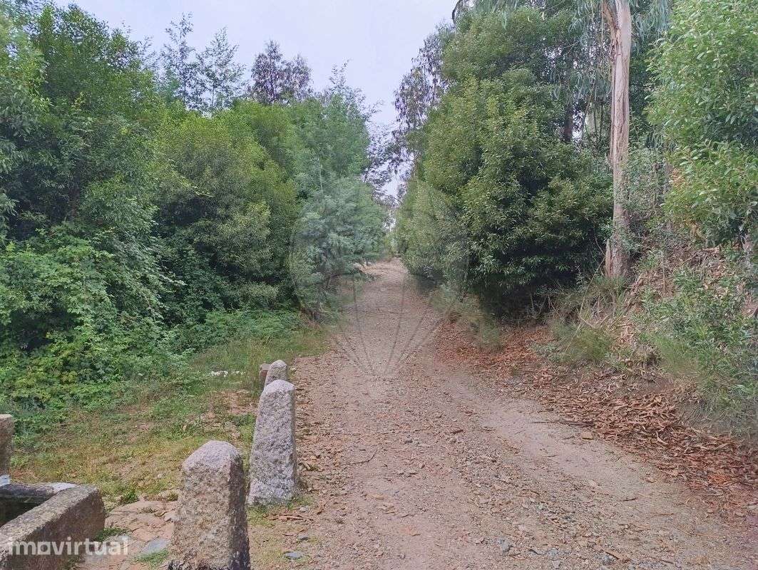 Terreno  para venda - Grande imagem: 3/18