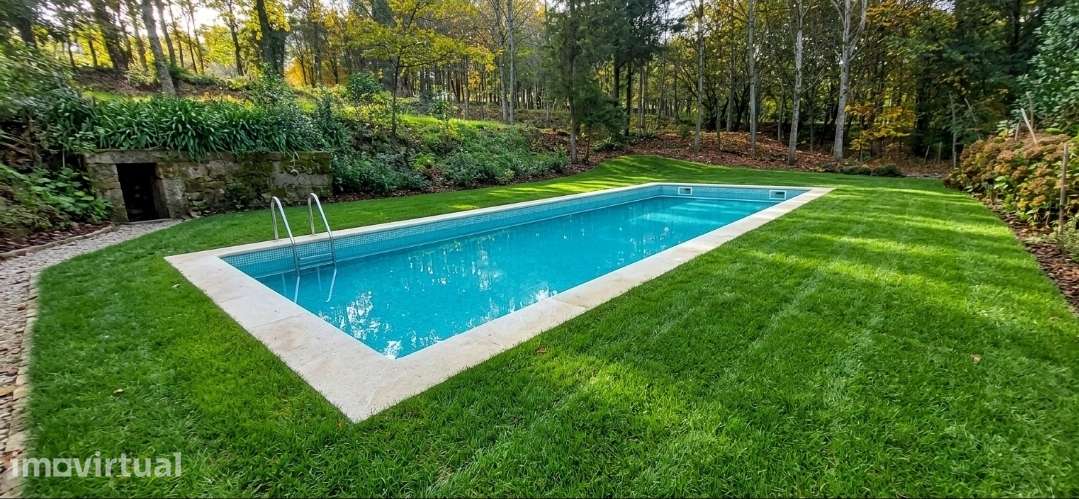 Quinta com 5 hectares em Roriz, Santo Tirso - Grande imagem: 5/13