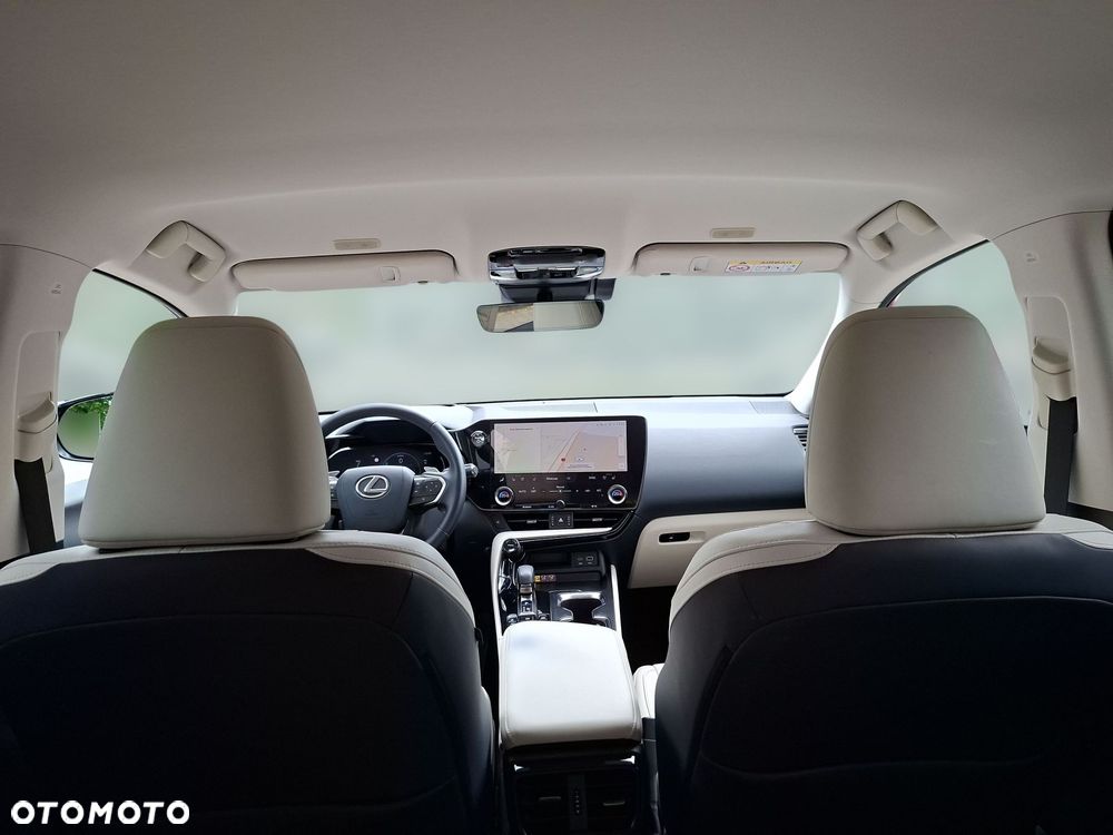 Lexus NX - 20