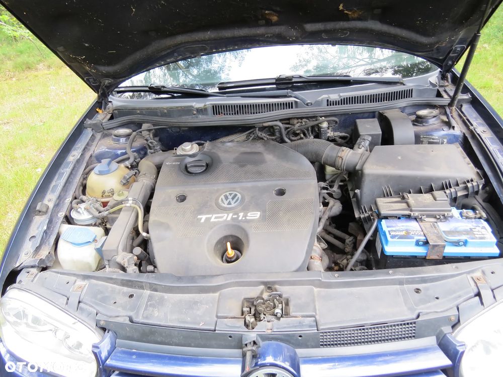 Volkswagen Golf - 18