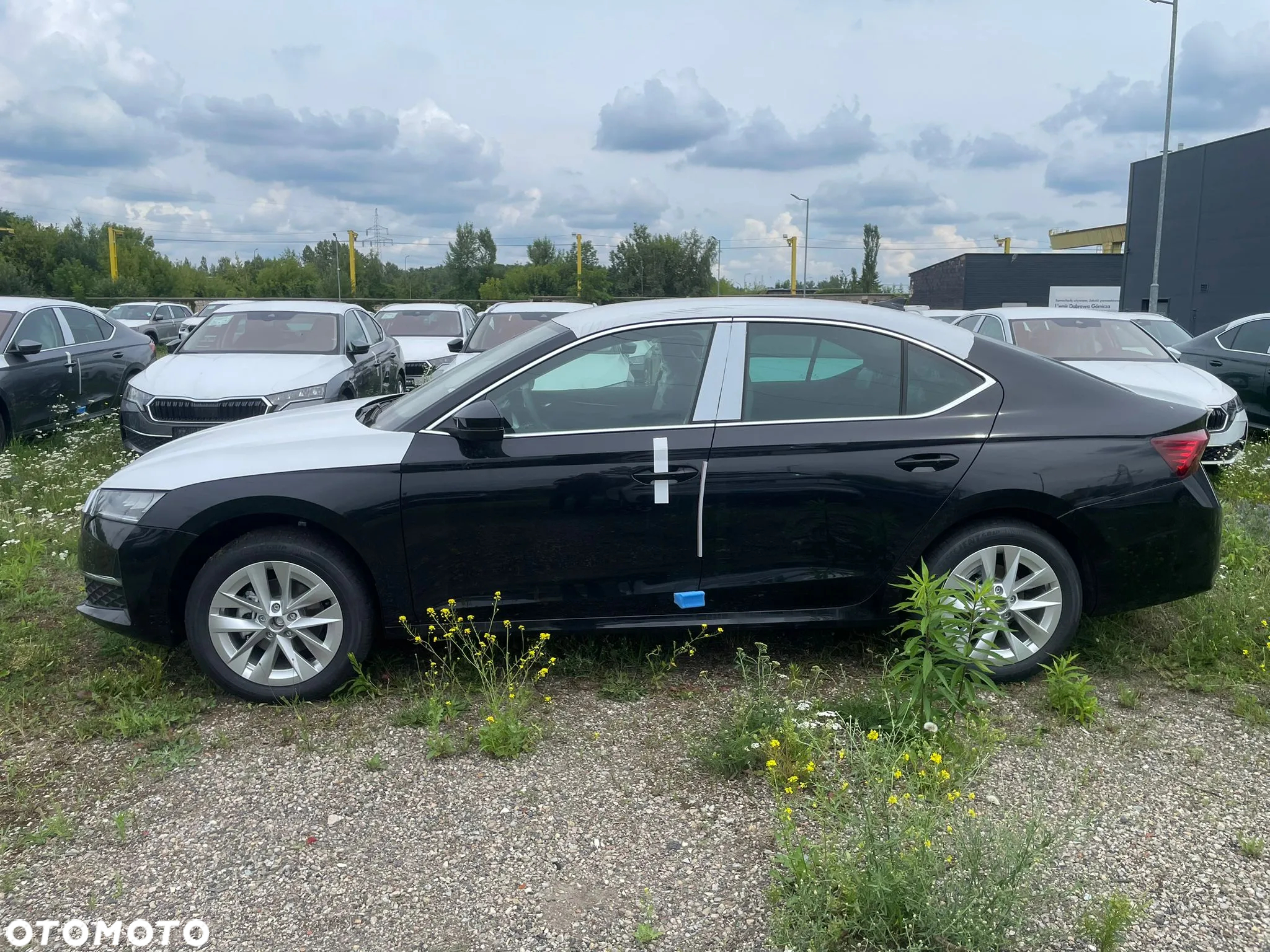 Skoda Octavia - 6