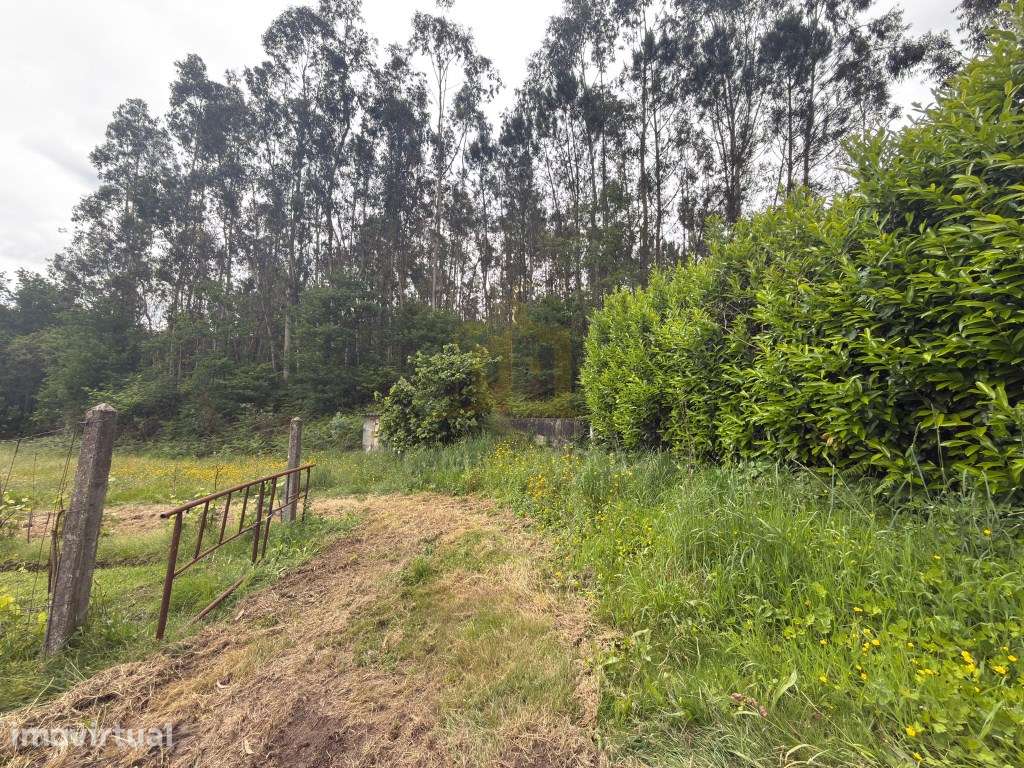 Terreno Florestal e Agrícola com Água Própria | Plano e com Bons Ac... - Grande imagem: 5/23