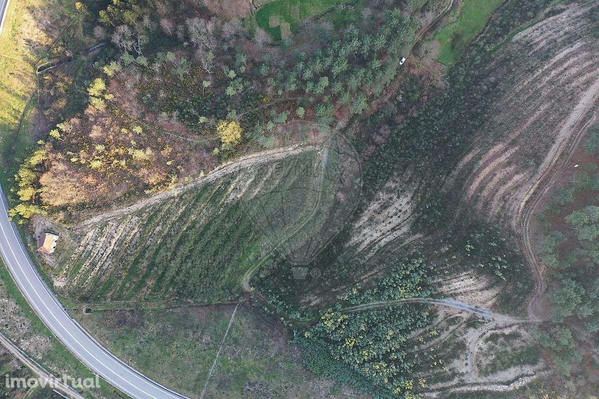 Quinta  para venda - Grande imagem: 3/14