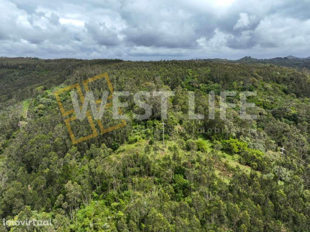 Terreno Rústico com 6812m2 declive suave a moderado - Vista sobre a... - Grande imagem: 2/25