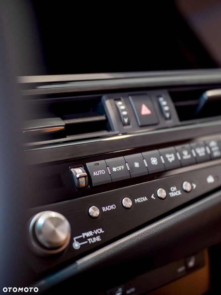 Lexus ES 300h Business Edition - 6