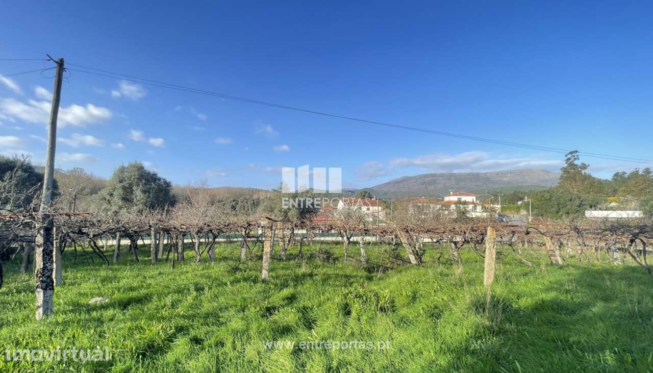 Venda de terreno para construção com 1000m², Meixedo, Viana do Cast - Grande imagem: 4/23