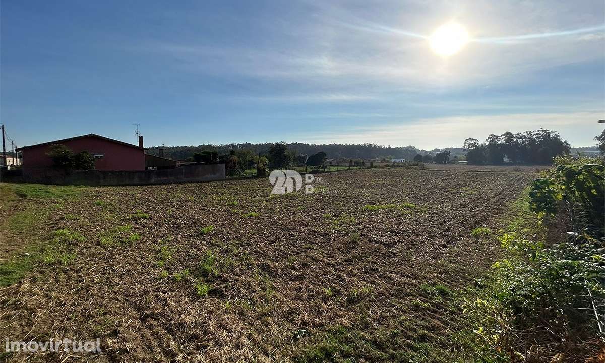 Terreno 1500m² p/ construção - Vilar e Mosteiró - Grande imagem: 4/11