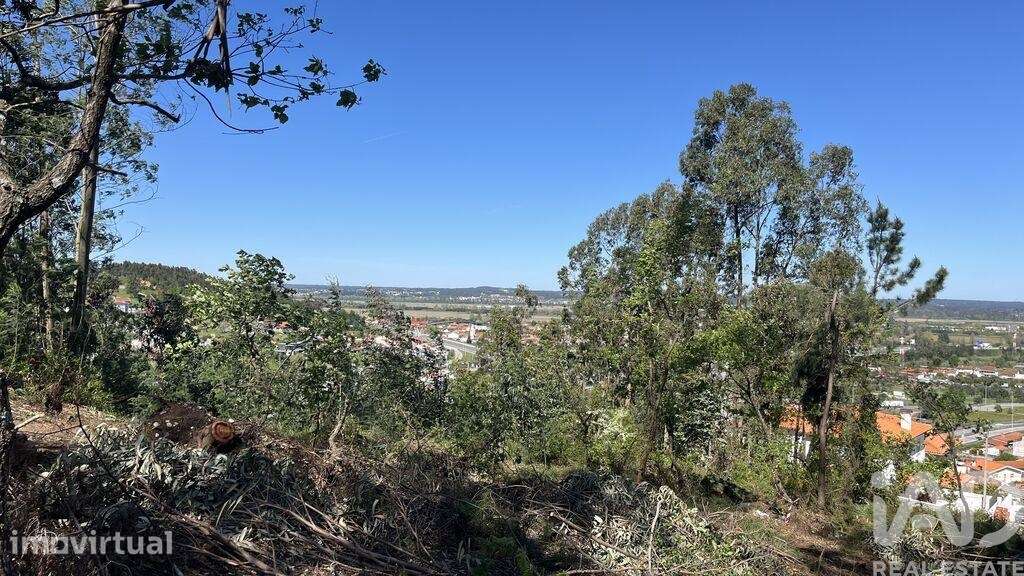 Terreno Agrícola em São Martinho do Bispo e Ribeira de Frades - Grande imagem: 3/8
