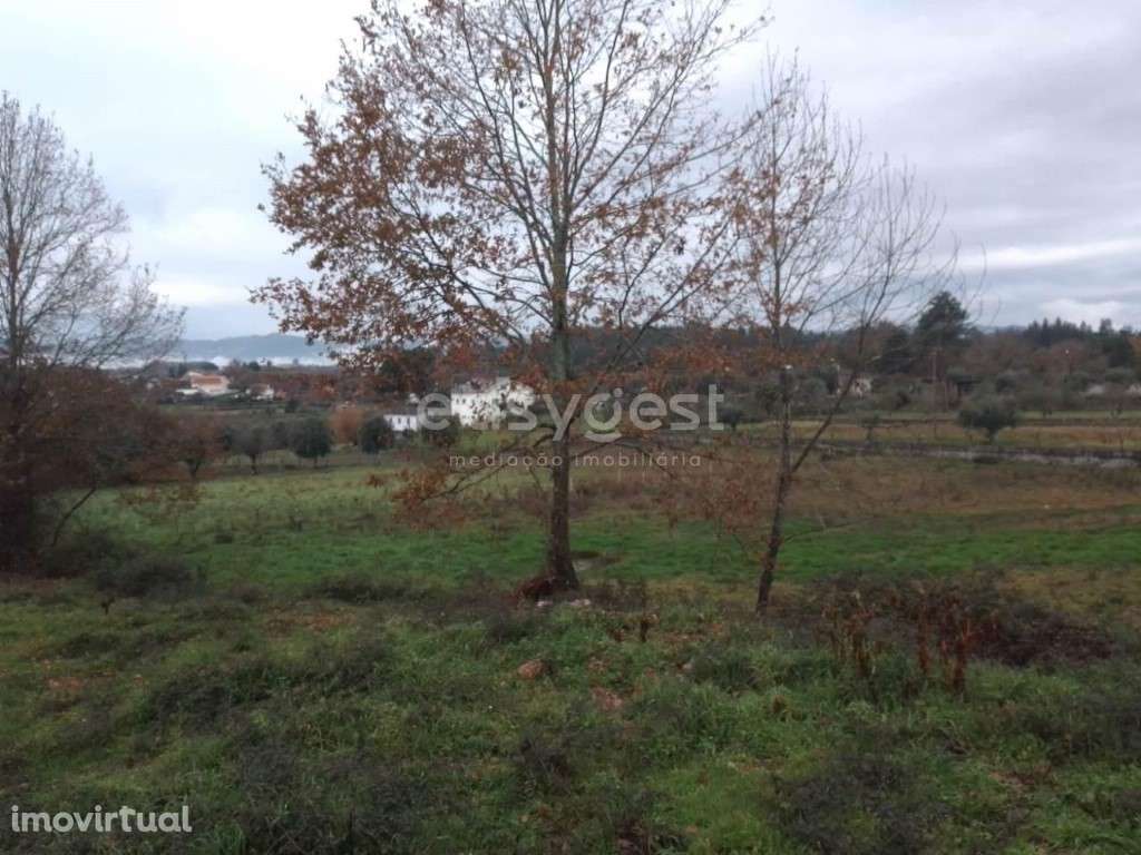 Terreno para construção, localizado em Canas de Santa Maria, Tondela - Grande imagem: 3/16