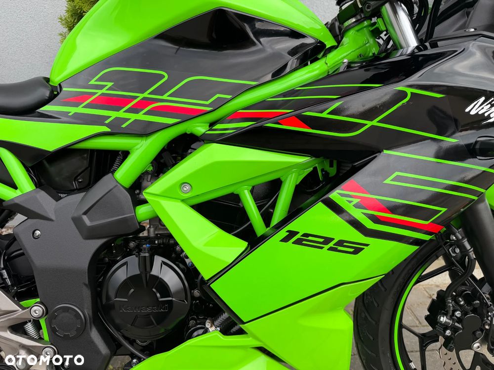 Kawasaki Ninja - 18