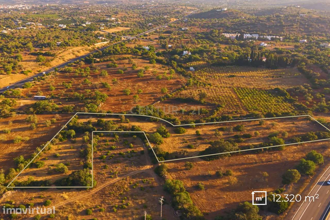 Terreno Rústico com 12.300 m² em Moncarapacho - Olhão - Algarve - Grande imagem: 5/7