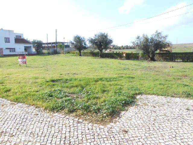 Lote construção de Edifício para Serviços - Grande imagem: 2/4