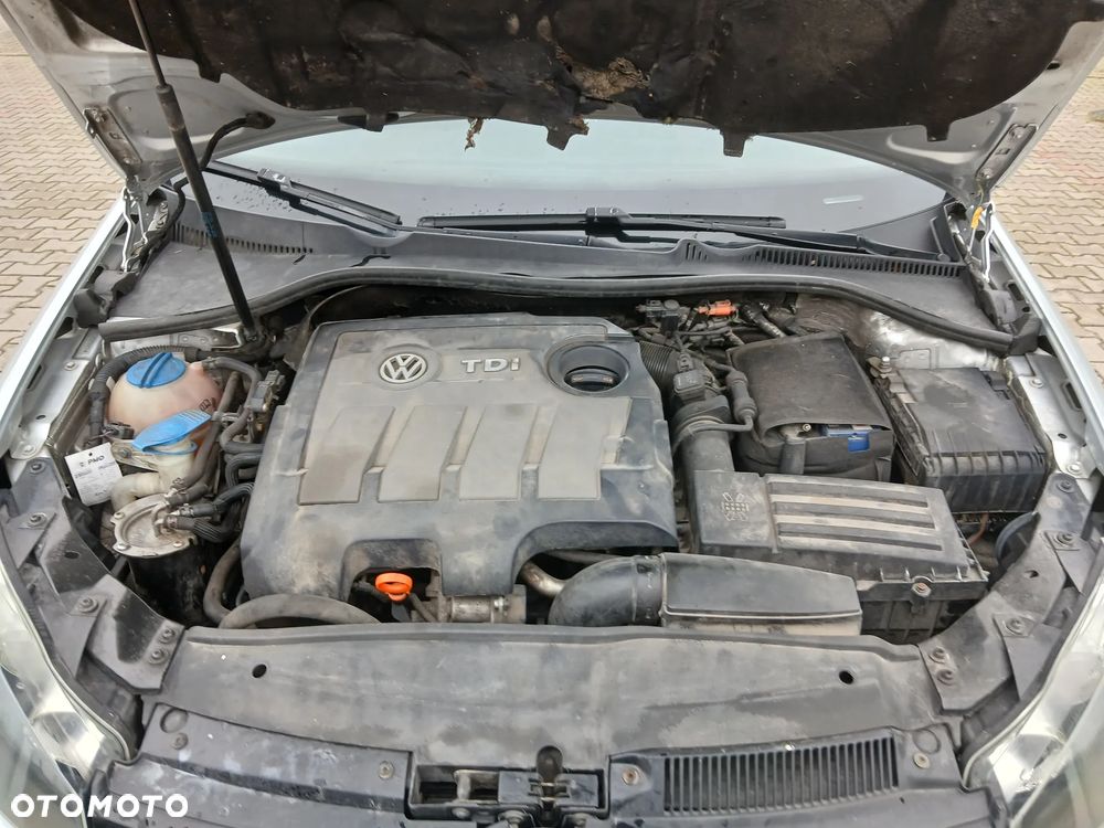 Volkswagen Golf - 16