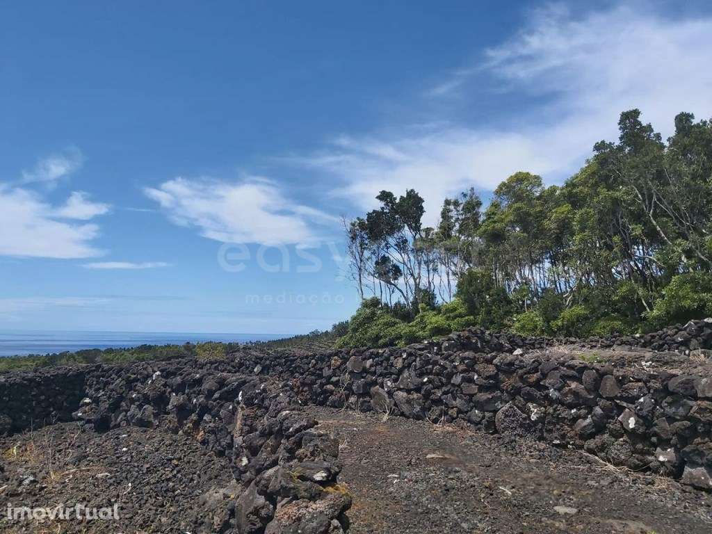 Terreno de vinha com viabilidade de construção - ilha do Pico - Grande imagem: 3/9