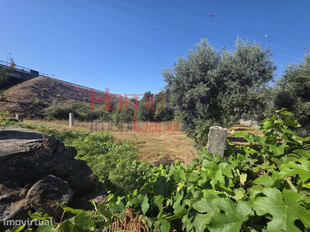 Terreno para venda no Campo, Viseu - Grande imagem: 2/11