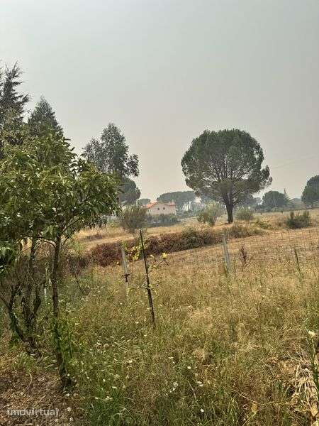Quinta com cerca de 1 hectare - Grande imagem: 4/8