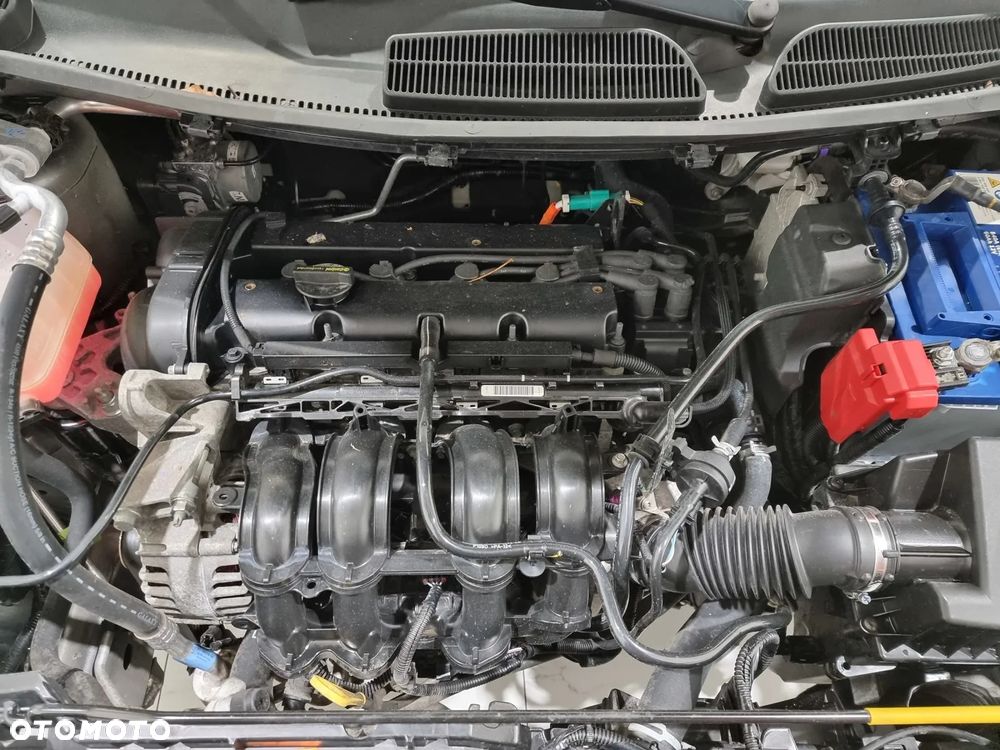 Ford Fiesta - 20