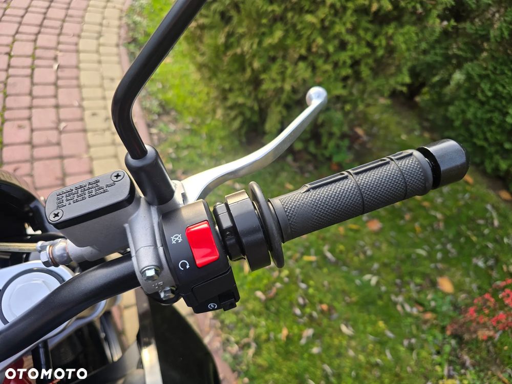 Malaguti Monte Pro - 19