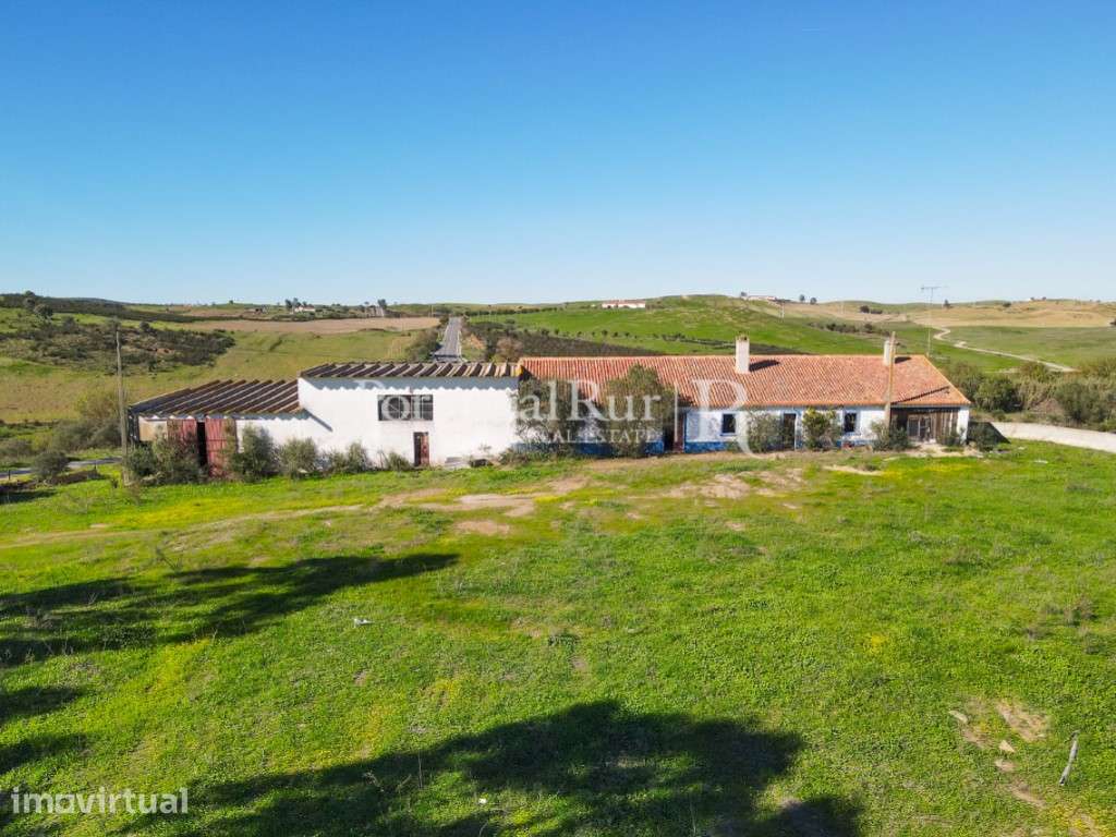 Herdade com 53 hectares em Castro Verde - Grande imagem: 2/59
