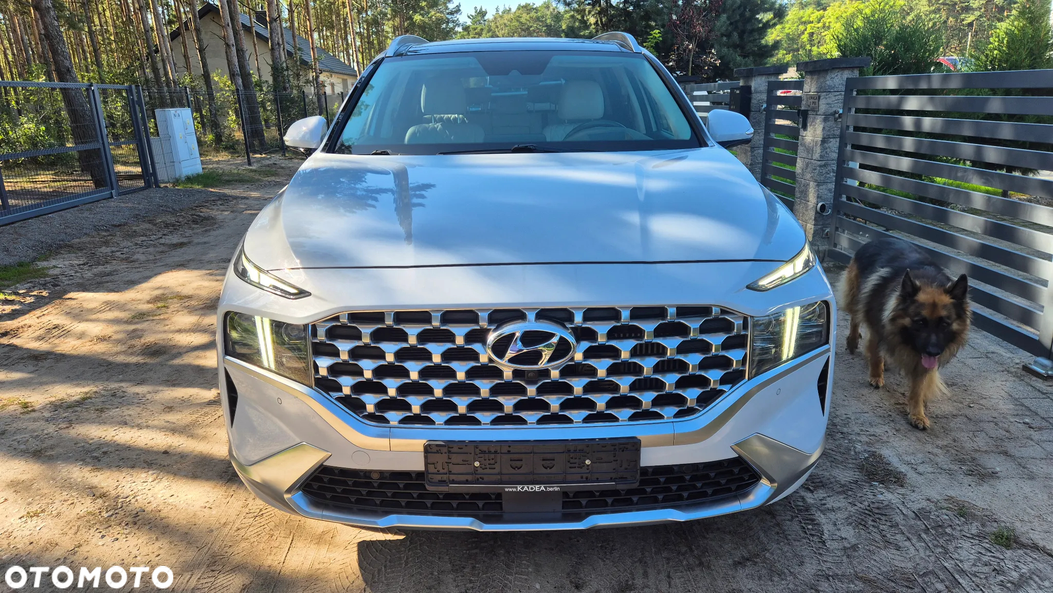 Hyundai Santa Fe 1.6 T-GDI PHEV Executive 4WD - 2