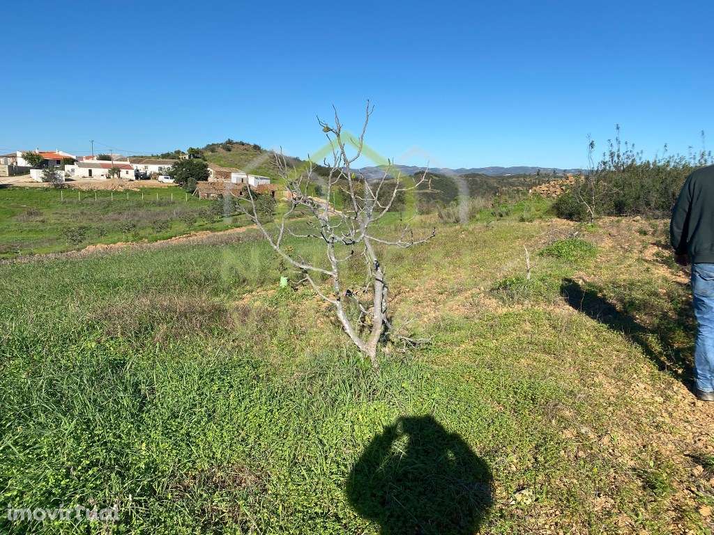 Terreno Rústico em Serro do Vale, Tavira - Grande imagem: 2/3