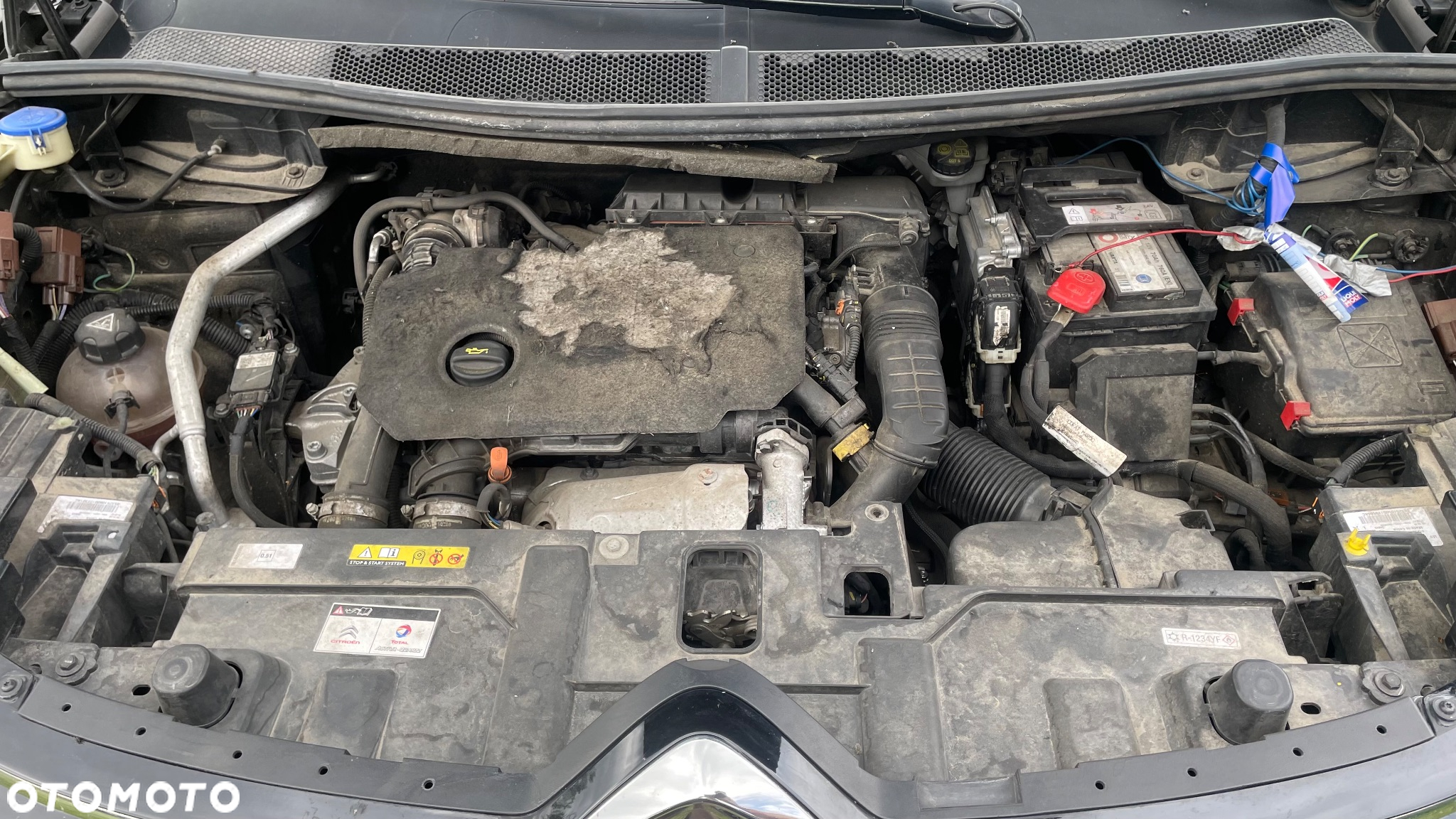Citroën C5 Aircross 1.5 BlueHDi Shine EAT8 - 17