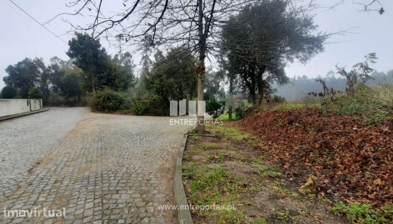 Venda de Terreno com 20000 m2, Macieira da Maia, Vila do Conde - Grande imagem: 3/12