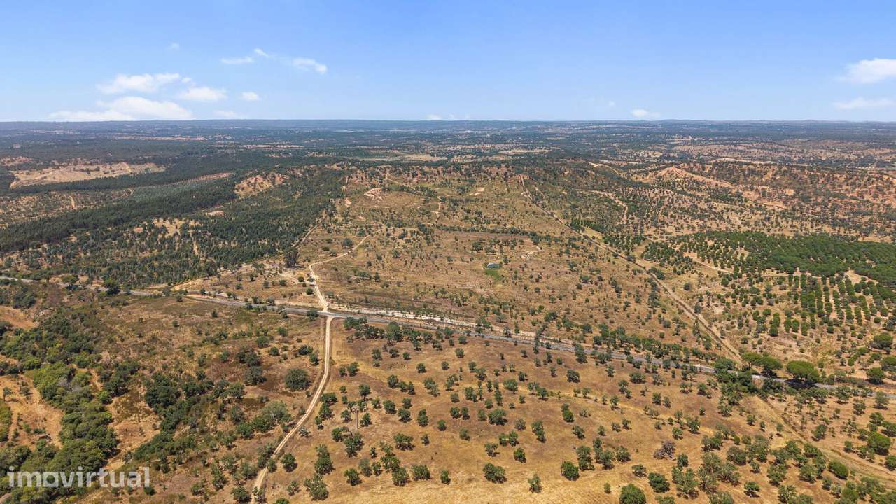 Terreno Rústico 50.0 ha, São Domingos, Santiago do Cacem - Grande imagem: 2/17