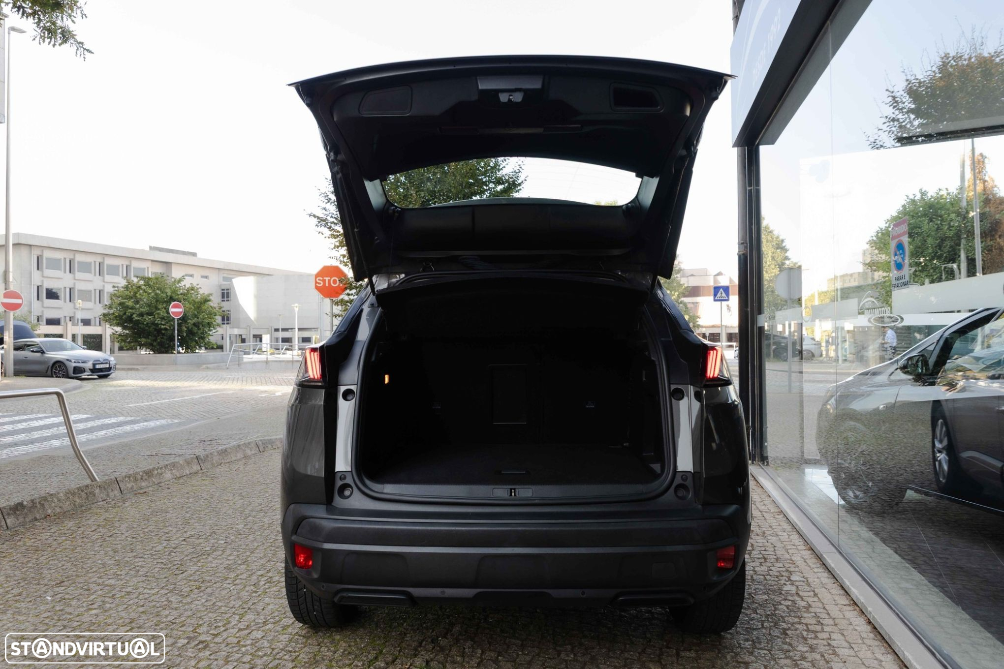 Peugeot 3008 - 18