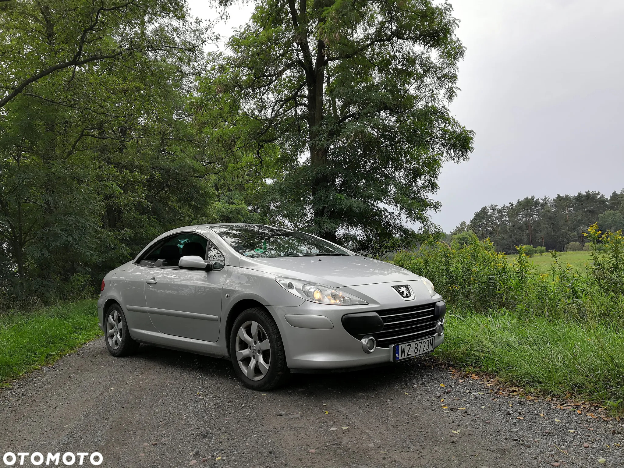 Peugeot 307 CC 2.0 HDi Intense - 17