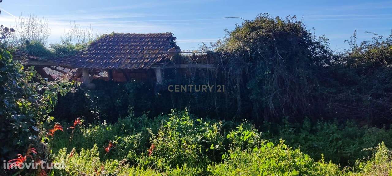 Terreno, 120 m², Mealhada, Ventosa do Bairro e Antes - Grande imagem: 2/6